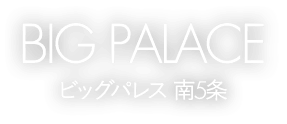 ビッグパレス南5条