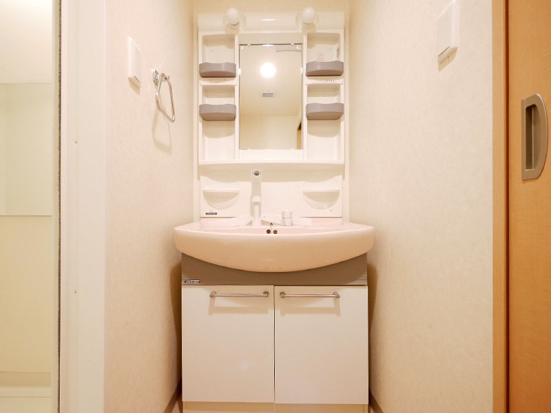 シャンプードレッサー