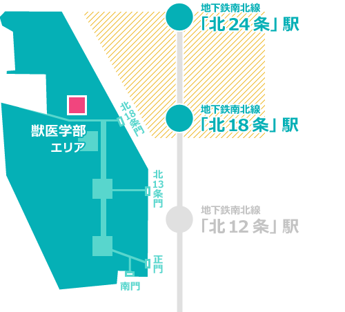 獣医学部エリア