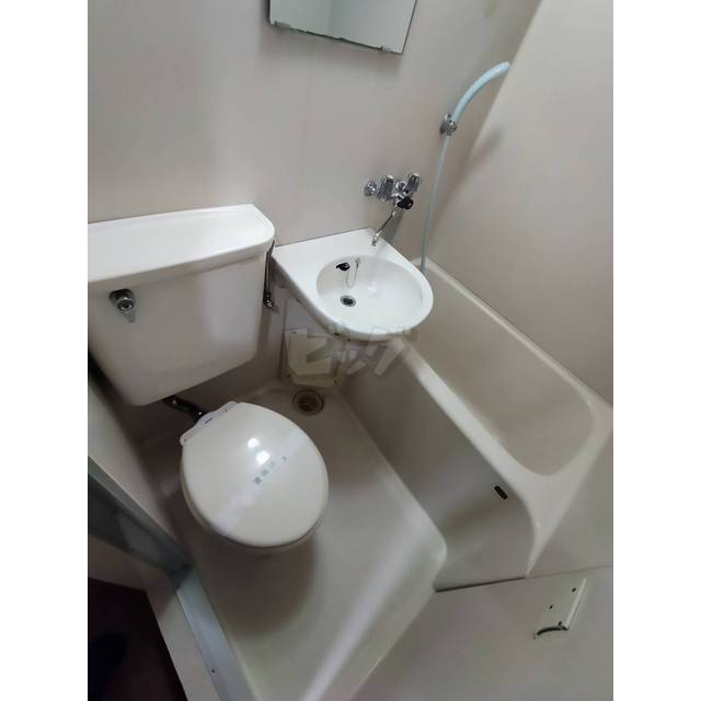 バス