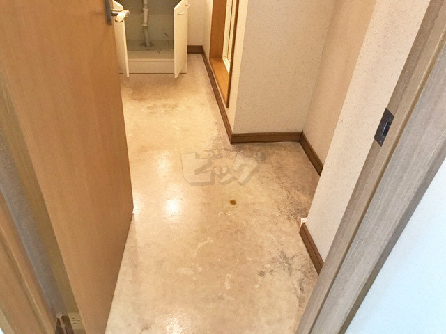 洗面所・脱衣所