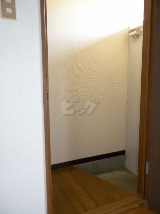 ホール