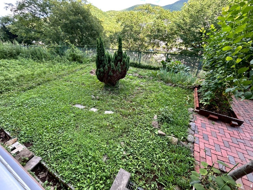 庭