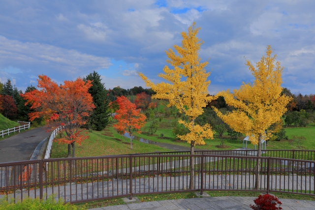 川下公園